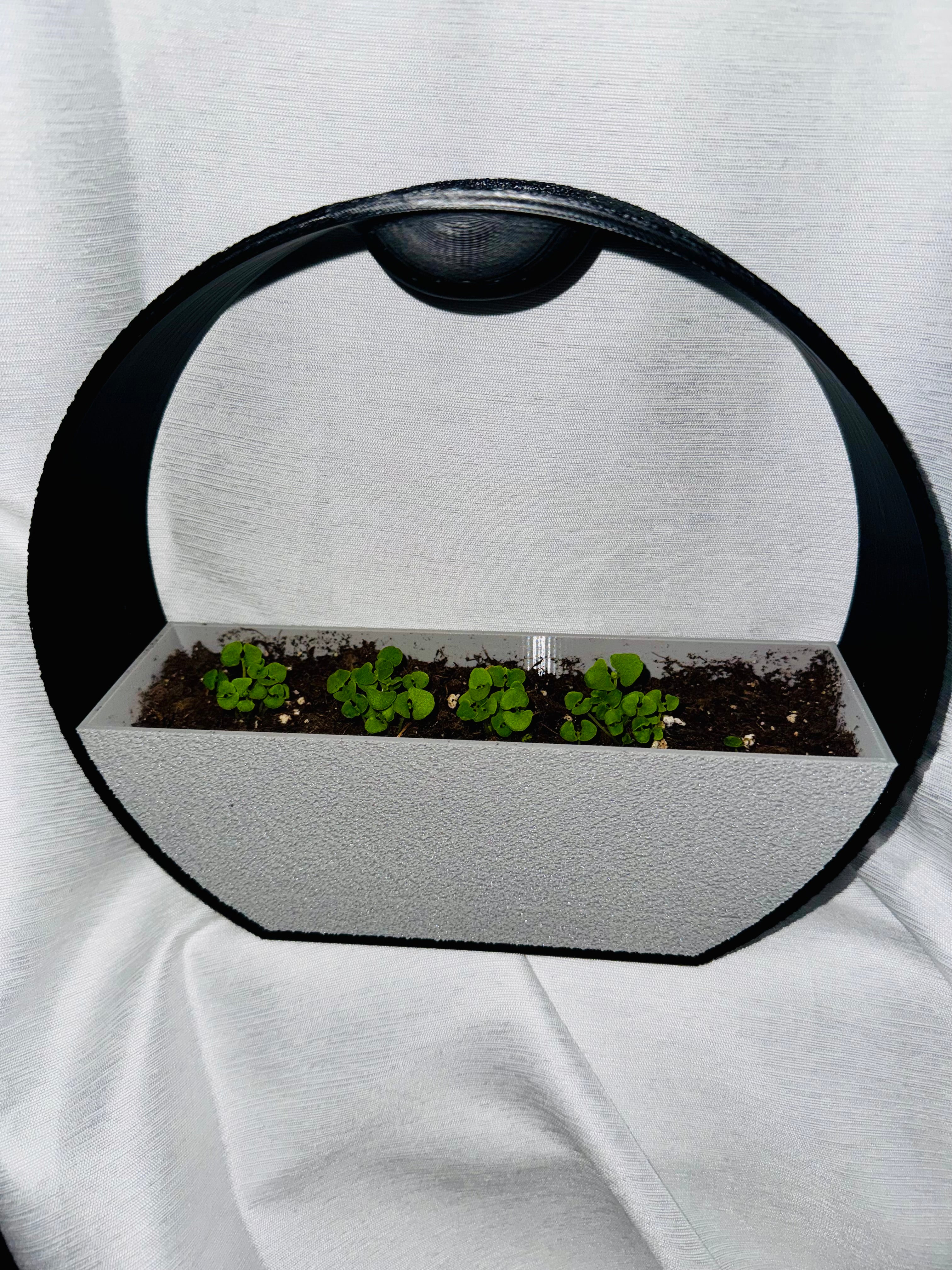 Self watering planter